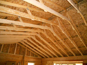 DSCN0433.JPG