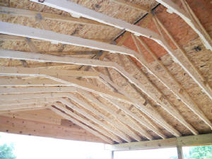 DSCN0433.JPG