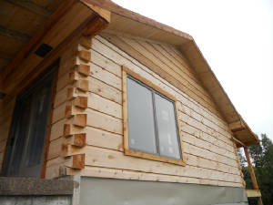 SCN0445.JPG
