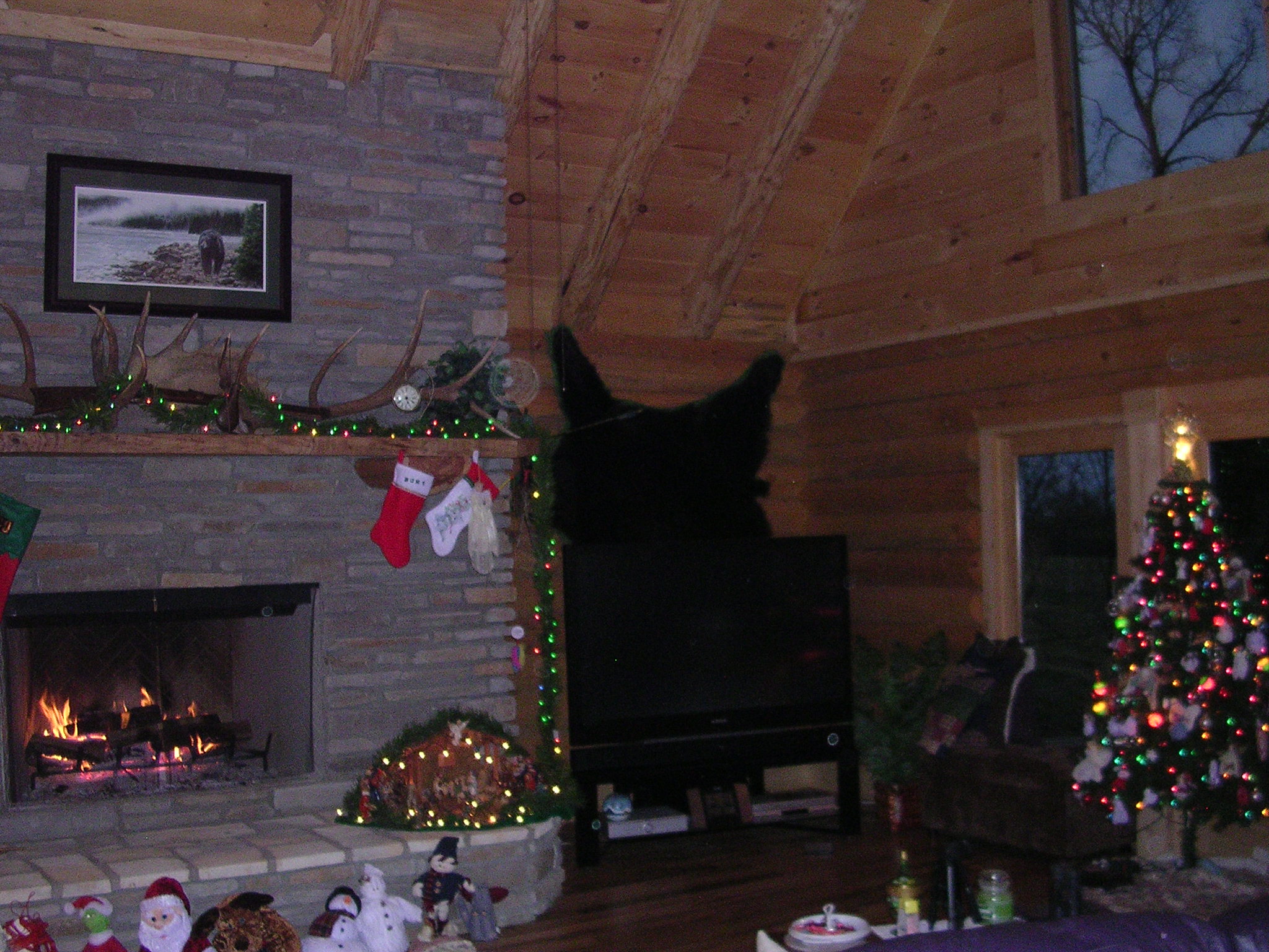 DSCN2678.JPG